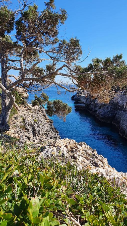 Villa Sirena Cala'N Blanes  Luaran gambar
